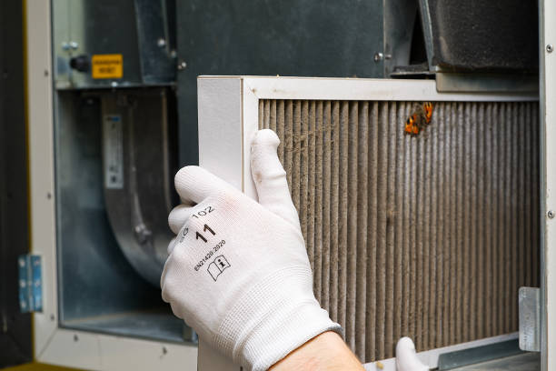 Best Ductwork Cleaning Services  in Young Harris, GA