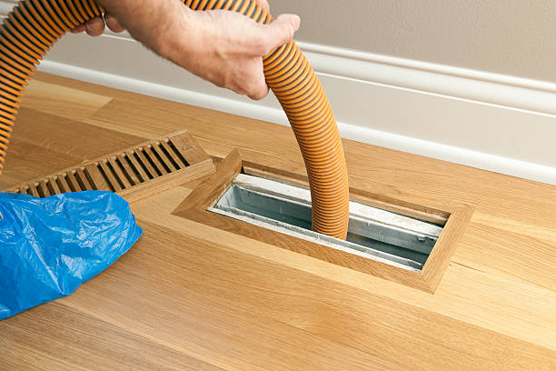 Best Local Air Duct Cleaning Services  in Young Harris, GA
